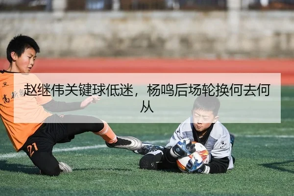 赵继伟关键球低迷，杨鸣后场轮换何去何从